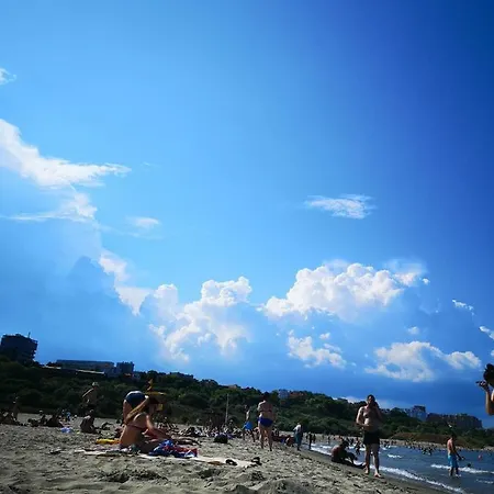 Axel Pensión Costinesti